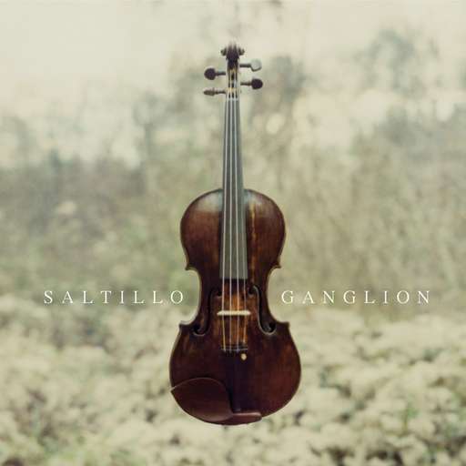 [神游舞曲 Trip Hop] 索尔蒂约（Saltillo）-专辑《Ganglion》：神经末梢的黑暗诗篇与人性解剖